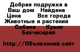 Добрая подружка,в Ваш дом!!!Найдена › Цена ­ 10 - Все города Животные и растения » Собаки   . Крым,Бахчисарай